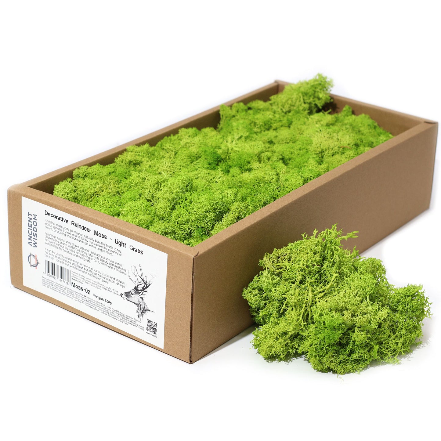 Soft, light grass green decorative reindeer moss with a delicate, natural texture for craft and floral projects.
