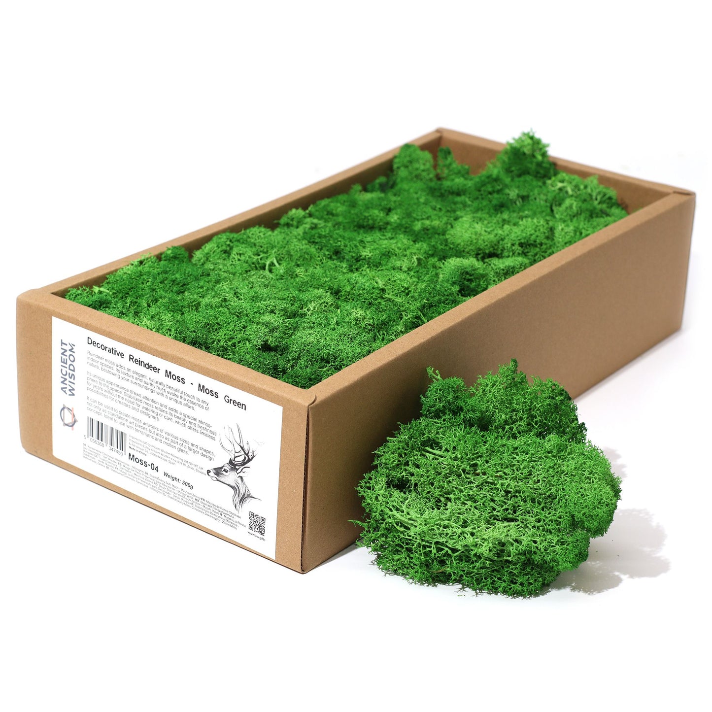 Lush and textured rich moss green reindeer moss for decorative use and floral arrangements.