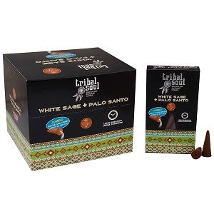 A decorative box of backflow incense cones featuring white sage and palo santo botanicals on the packaging.