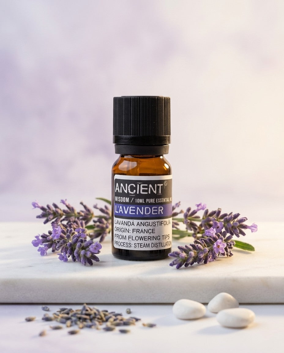 A small amber glass bottle of pure lavender essential oil with a black dropper cap on a neutral background.