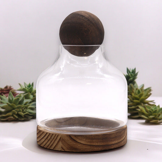 Elegant spherical glass terrarium with a round glass lid sitting on a dark decorative tung wood base.