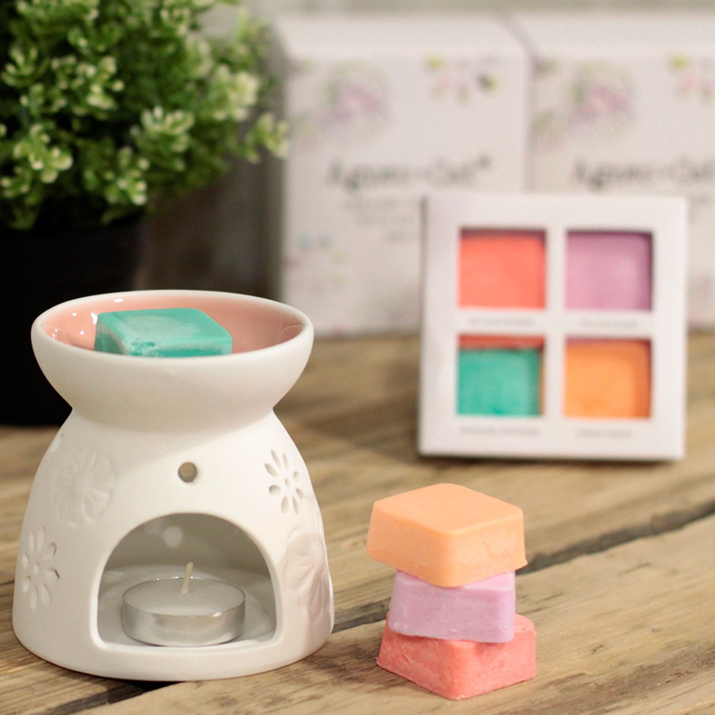 Wax Melter with Four Soy Wax Melts