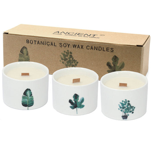 Medium botanical soybean wax candle with a mulberry harvest scent presented in a round white ceramic jar.