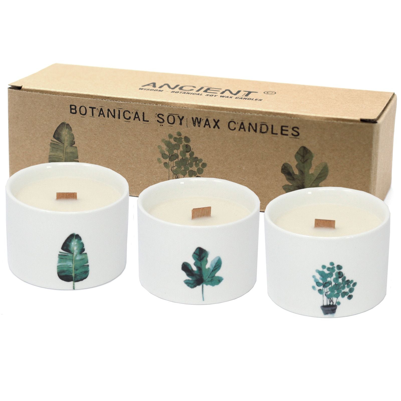 Creamy white botanical soybean wax candle featuring lemon and honeysuckle scents in a decorative round ceramic jar.