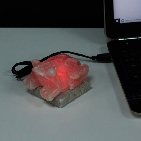 Whimsical toad-shaped Himalayan salt lamp glowing with multi-coloured LED light on a wooden base with a USB connection.
