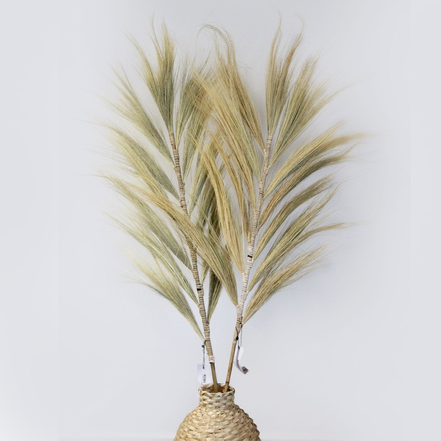 Tall blond rayung grass stems braided onto vertical bamboo sticks for tropical interior decoration.