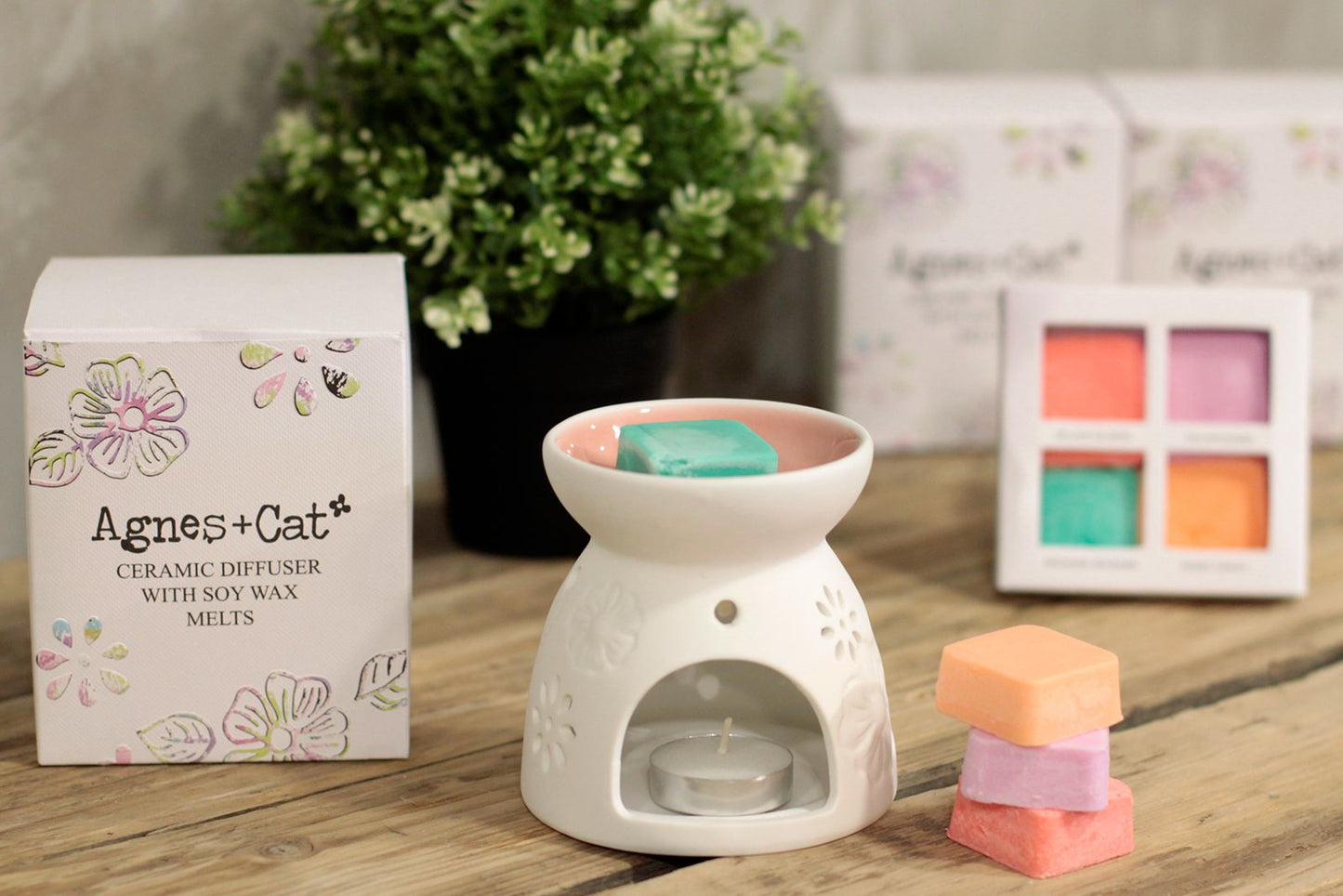 Wax Melter with Four Soy Wax Melts