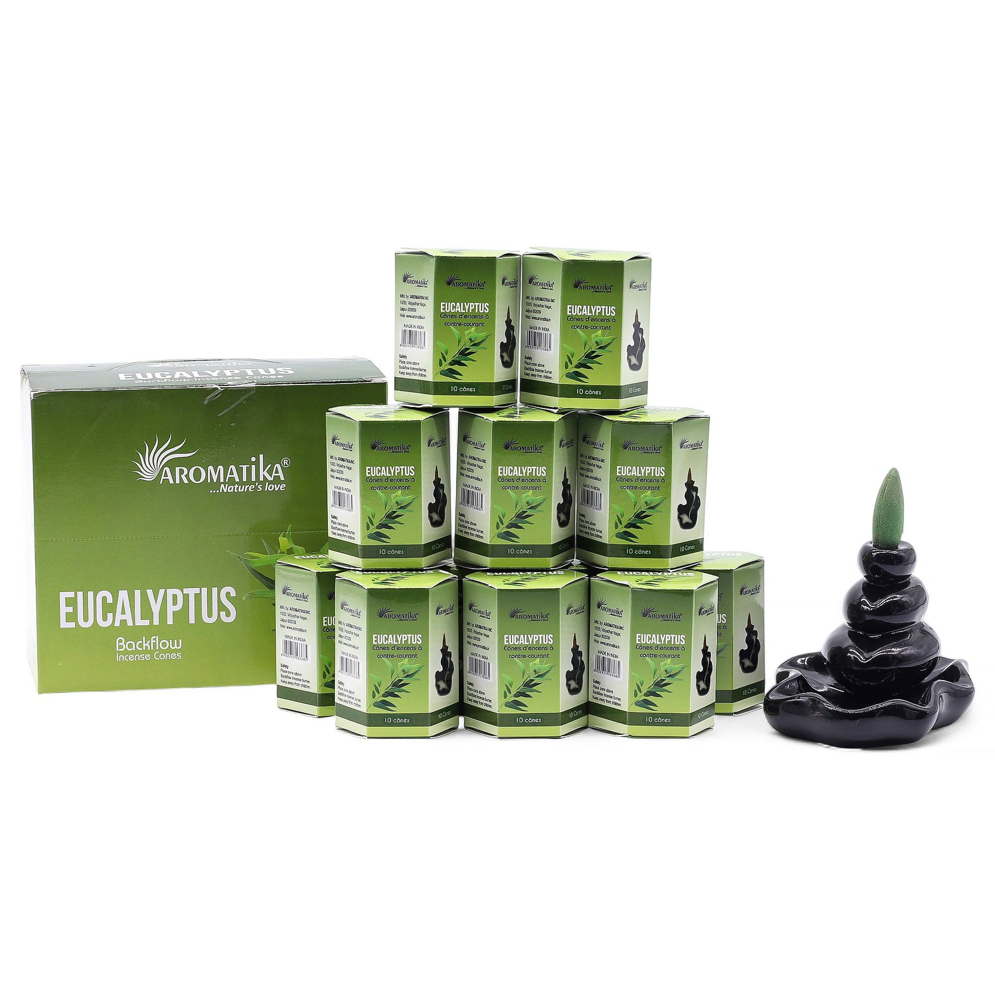 Hexagonal box of ten masala backflow incense cones with a refreshing eucalyptus scent for meditation and relaxation.
