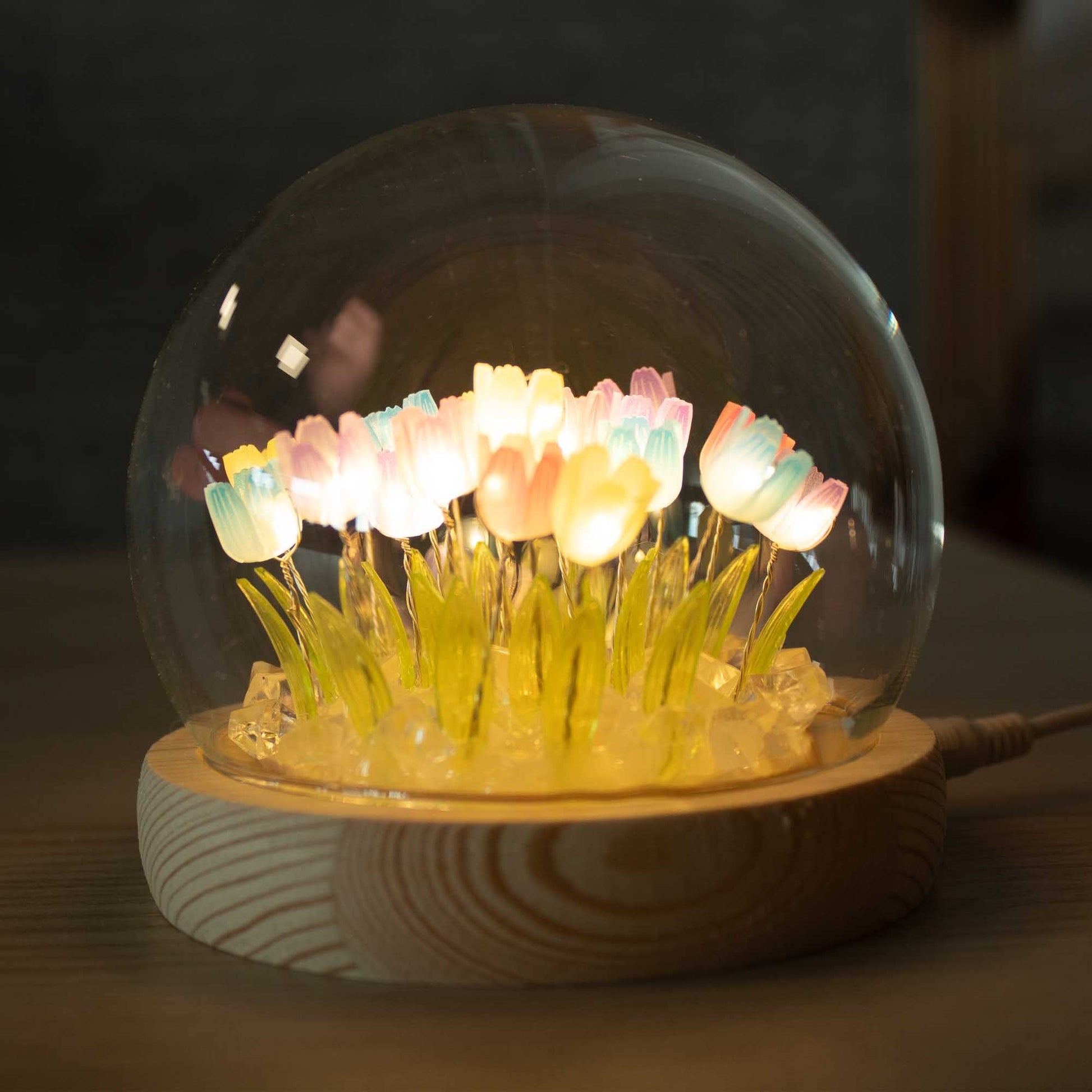 Floral Glow Garden Dome - 10 Pink Roses - LED USB