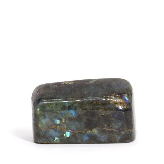 Medium polished Madagascar labradorite stone showing iridescent flashes of blue and green across its dark surface.