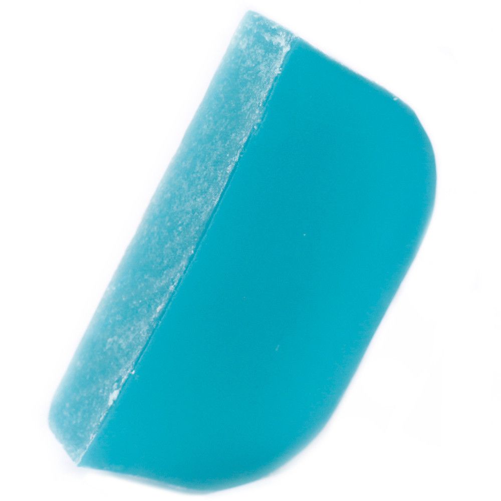 Slice of solid shampoo bar with visible herbal flecks and a creamy texture, featuring tea tree and peppermint.