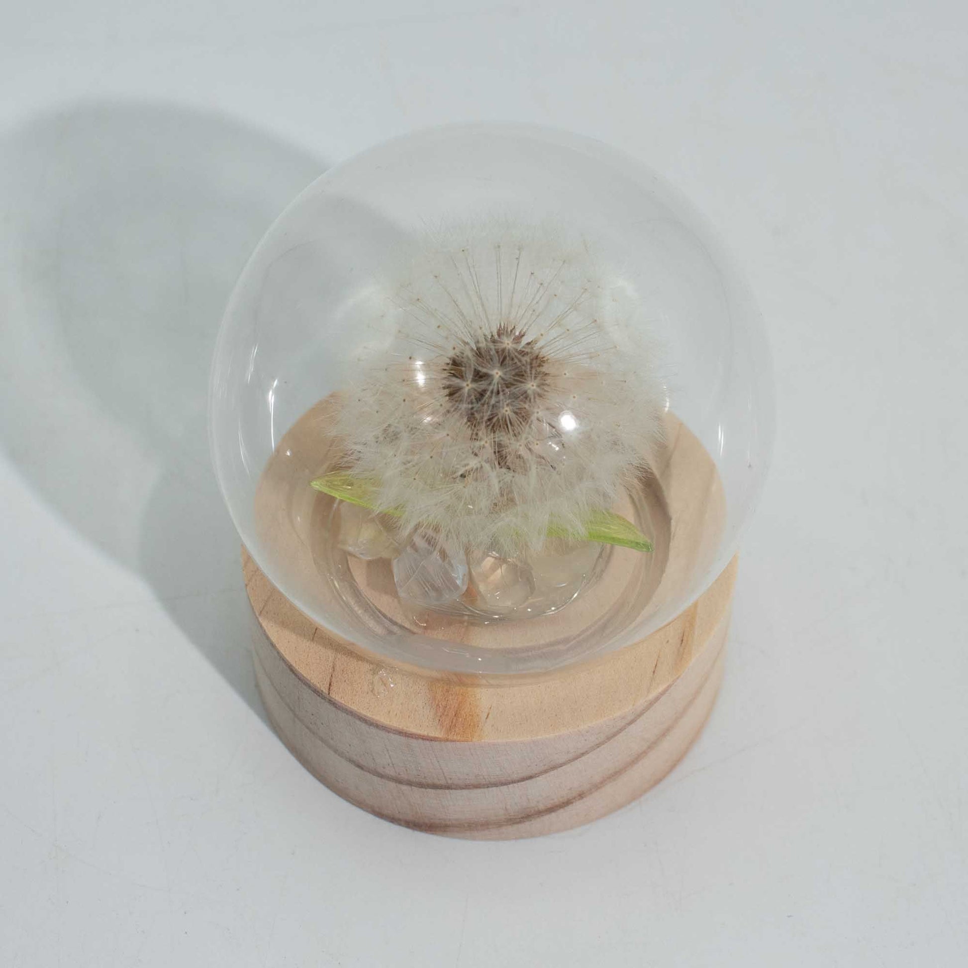 Floral Glow Garden Dome - 1 Dandilion- LED Battery