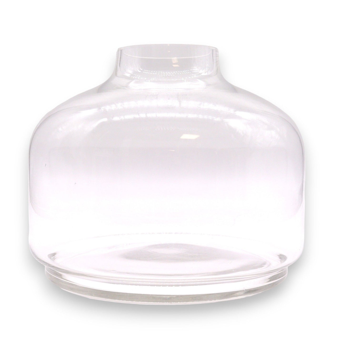 Extra large clear glass ball top terrarium resting on a circular dark tung wood base.