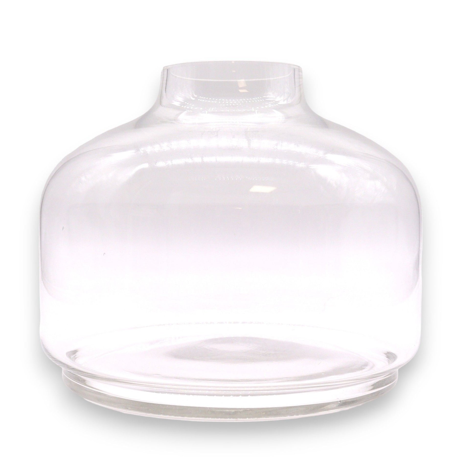 Extra large clear glass ball top terrarium resting on a circular dark tung wood base.