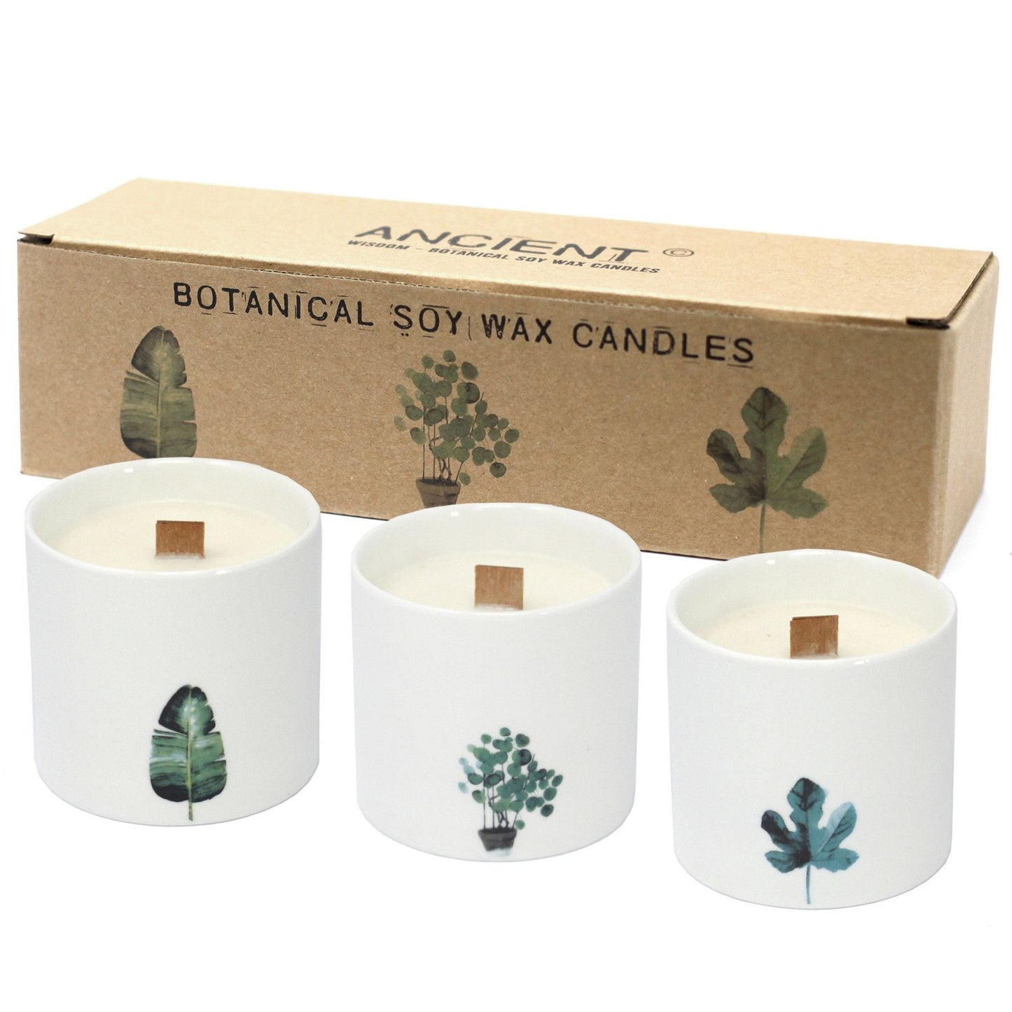 Elegant botanical soy wax candle in a round white ceramic jar featuring a delicate Victorian Peony floral scent.
