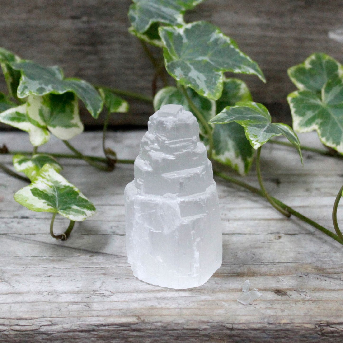 A small, translucent white natural selenite crystal tower with a textured, pillar-like shape.