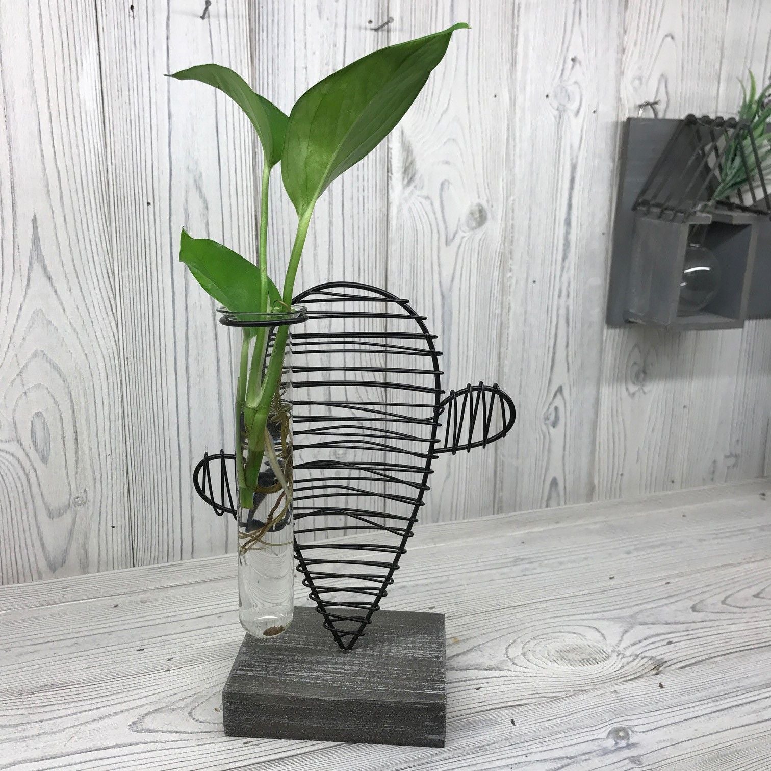 Minimalist glass laboratory-style hydroponic pot with a decorative cactus-themed stand for displaying plants.
