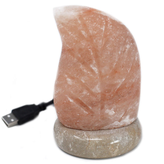 Leaf-shaped Himalayan salt lamp on a wooden base with glowing multicolour LED lights and USB connection.