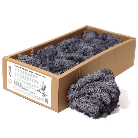 Soft and textured preserved reindeer moss in a sophisticated charcoal grey shade for decorative use.