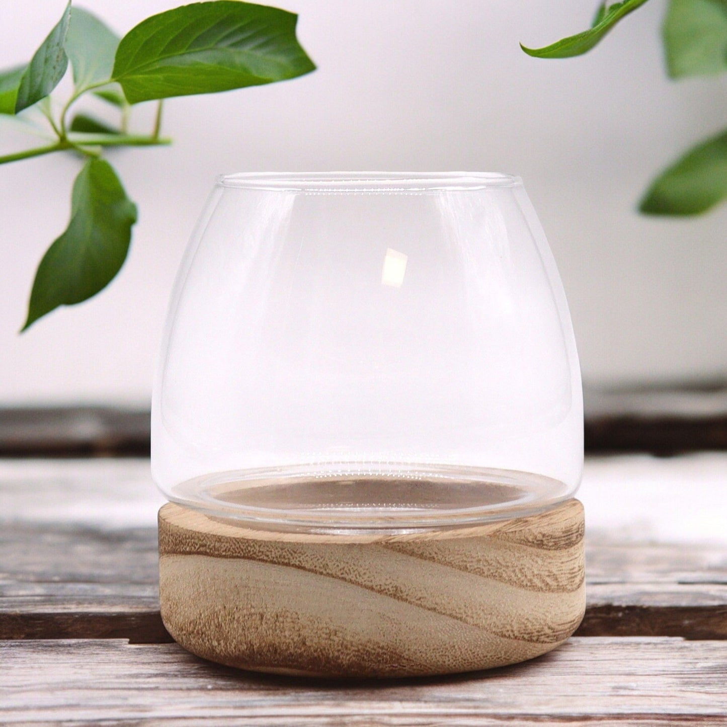Small clear glass terrarium bowl resting on a textured natural tung wood base with a rustic finish.