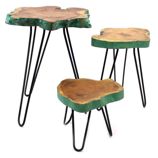 Three tiered wooden plant stands with a light greenwash finish on sleek black metal hairpin legs.