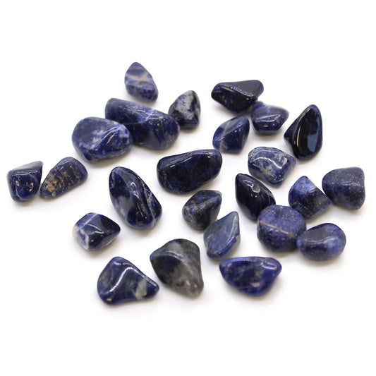 Several small, polished deep blue sodalite tumble stones with unique white mineral veining.
