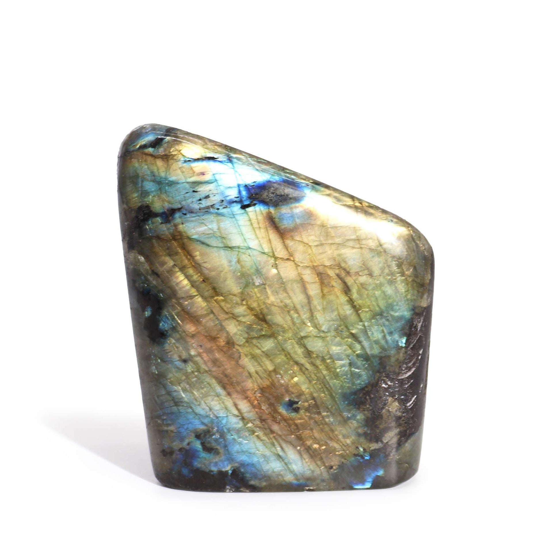Large polished Labradorite stone showing vibrant iridescent blue and gold flashes on a dark grey mineral surface.