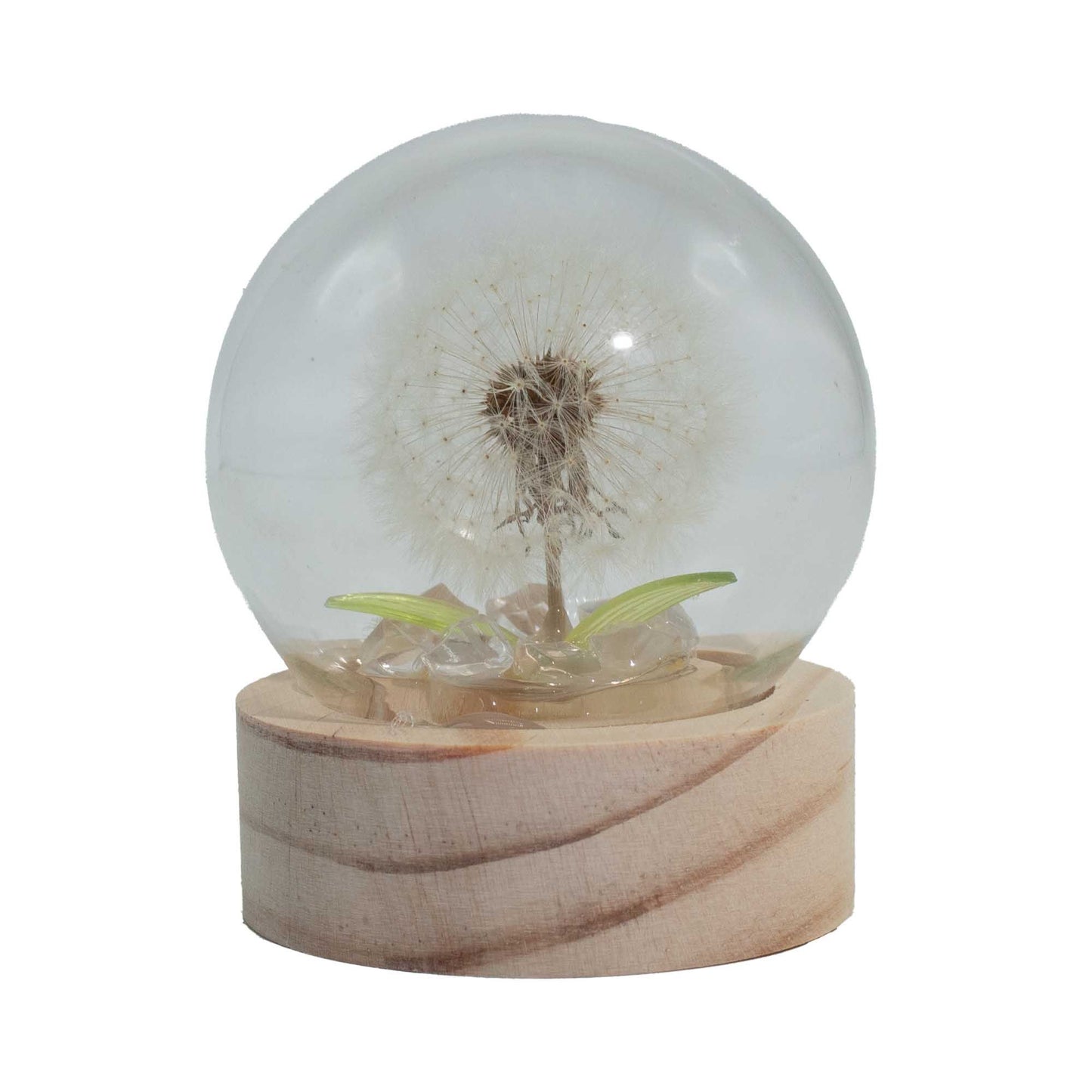 Clear glass dome featuring a single delicate dandelion stem illuminated by soft LED light on a natural wooden base.