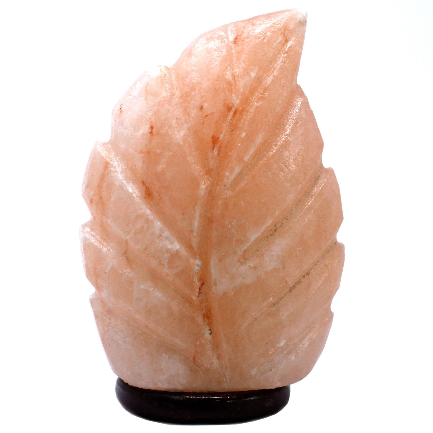 Hand-carved Himalayan pink salt lamp with a delicate fern leaf design on a wooden base.