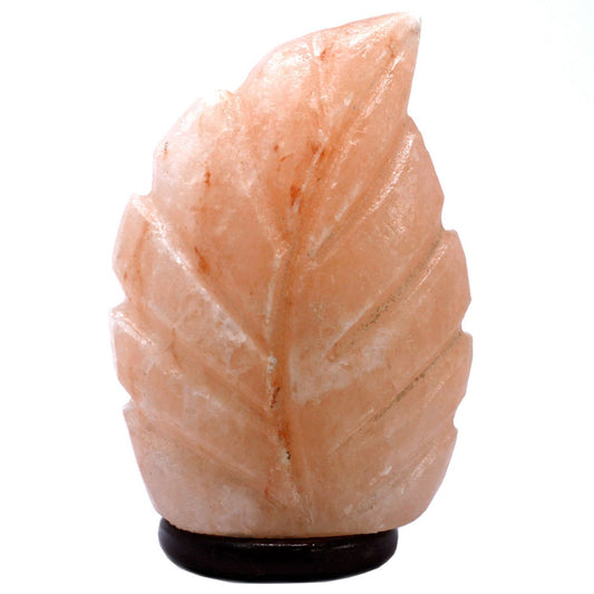 Hand-carved Himalayan pink salt lamp with a delicate fern leaf design on a wooden base.