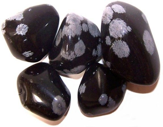 Large polished Snowflake Obsidian tumble stone with distinctive white floral patterns on a dark black surface.