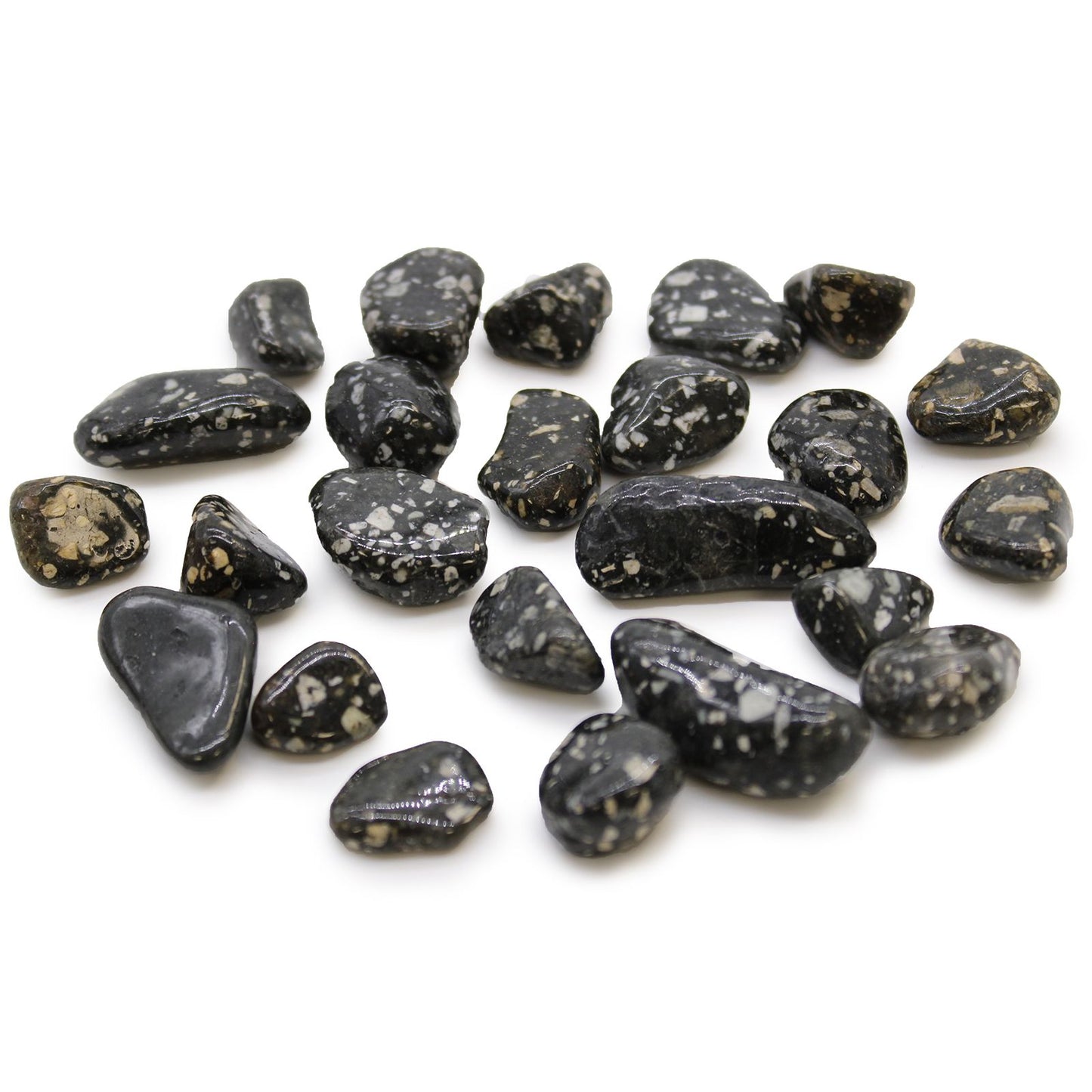 Small polished black tumble stones with distinct white spots resembling guinea fowl feathers.