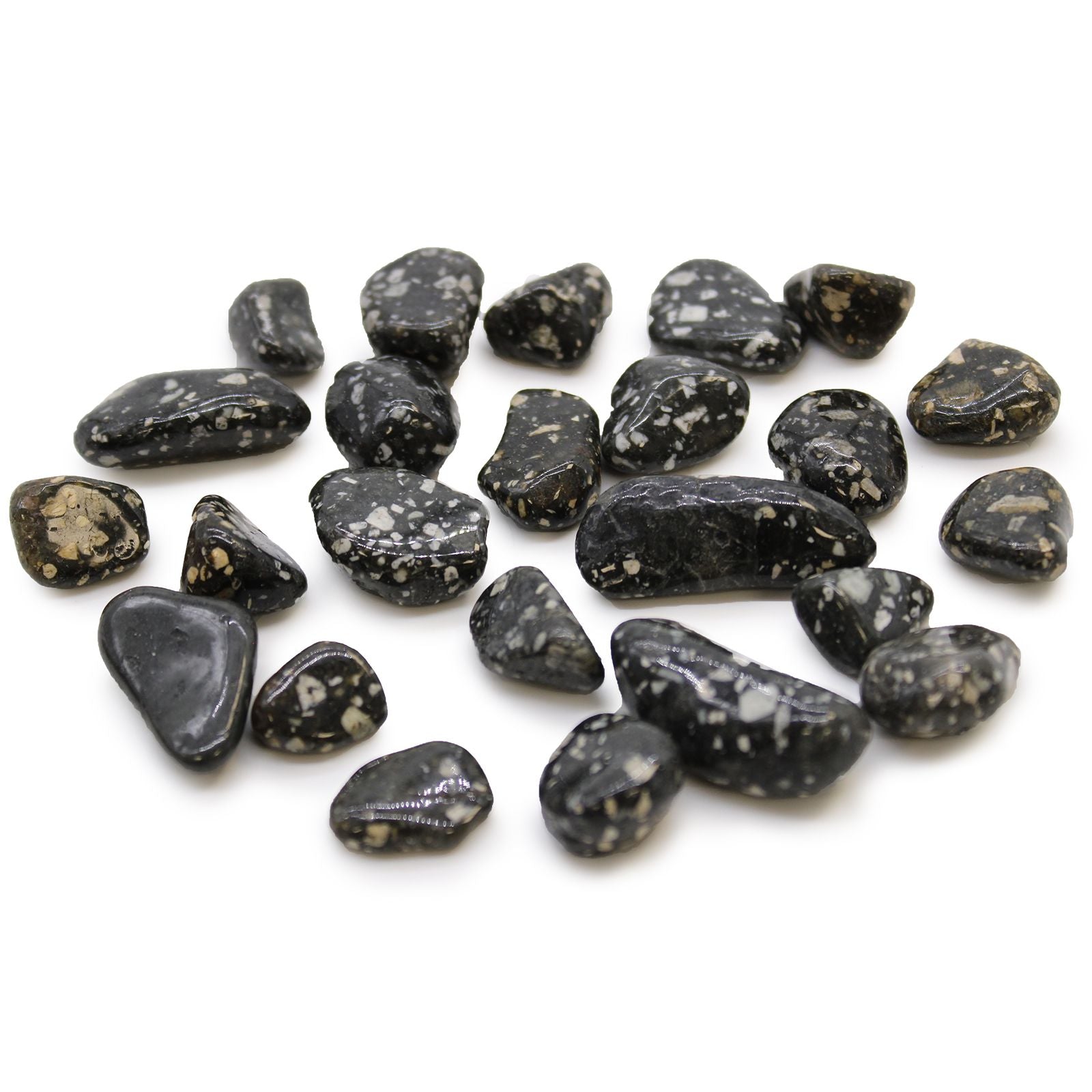 Small polished black tumble stones with distinct white spots resembling guinea fowl feathers.