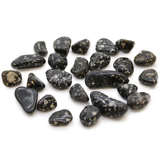 Small polished black tumble stones with distinct white spots resembling guinea fowl feathers.
