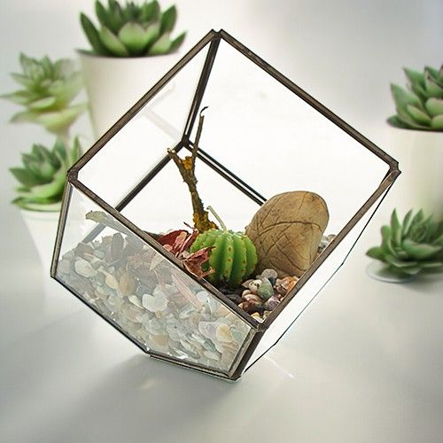 Geometric glass cube terrarium with a brass frame resting on its corner on a wooden surface.