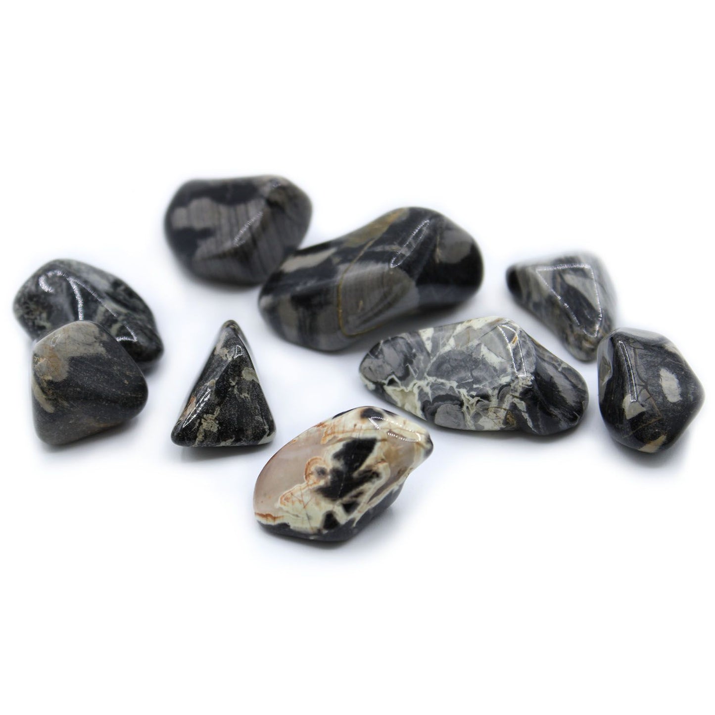 Smooth and polished large Silverleaf Jasper tumble stone showing unique grey and black patterns.
