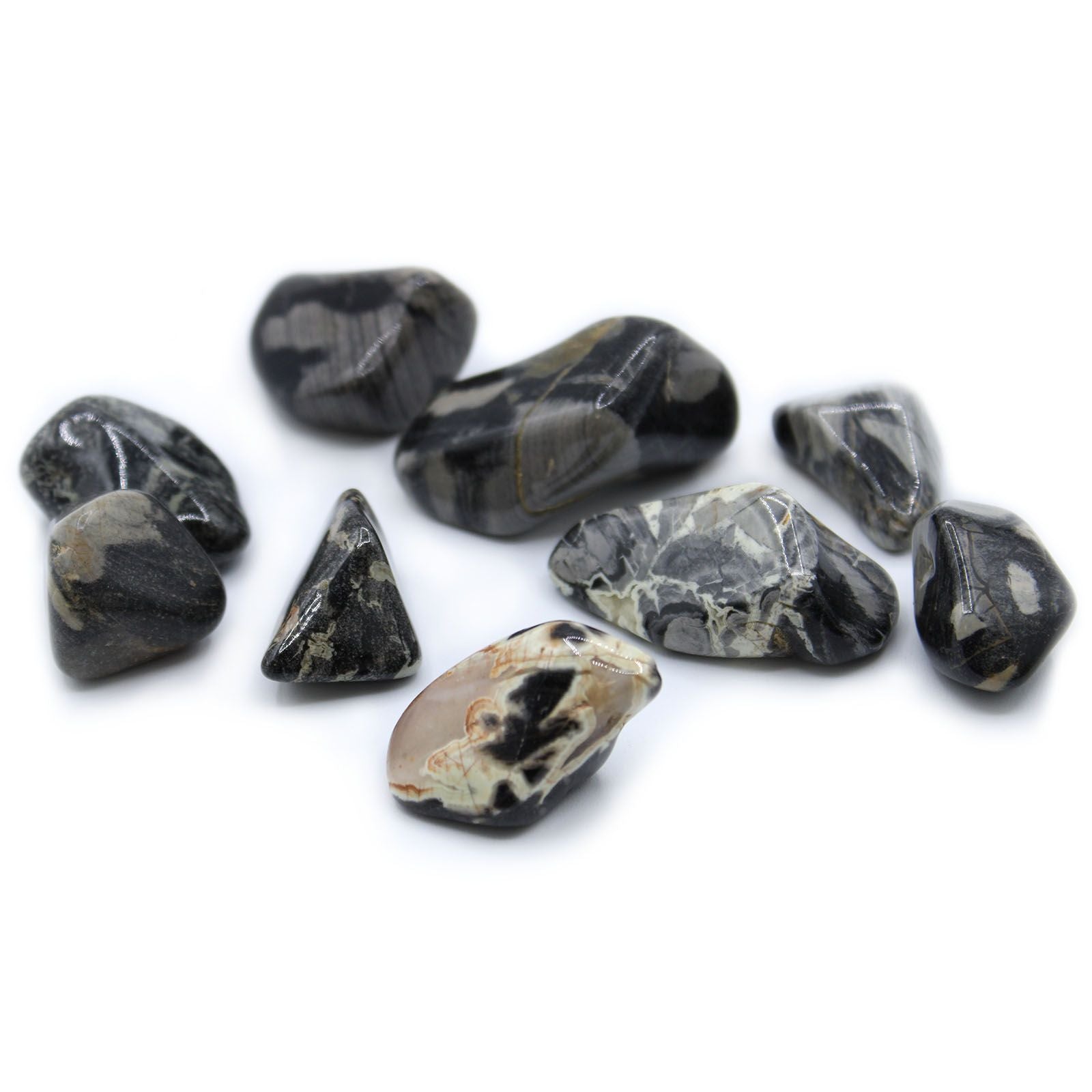 Smooth and polished large Silverleaf Jasper tumble stone showing unique grey and black patterns.