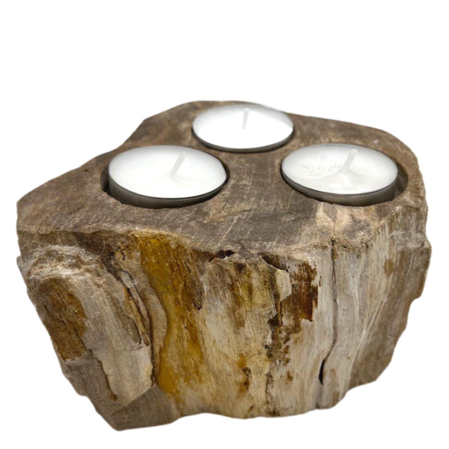 Hand-carved petrified wood triple candle holder with a natural rustic texture and earthy tones.