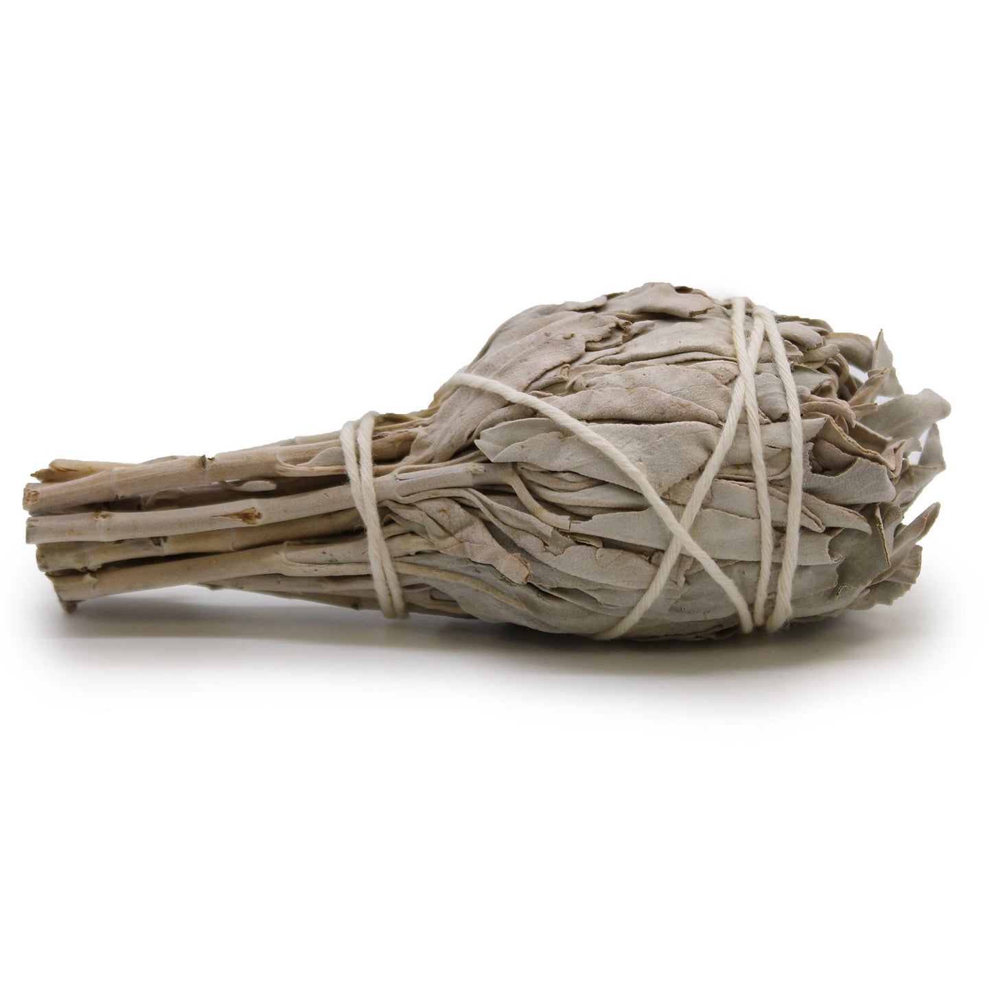 Hand-wrapped 10cm white sage torch smudge stick bundle with a thick, cylindrical shape and dried silvery-green leaves.