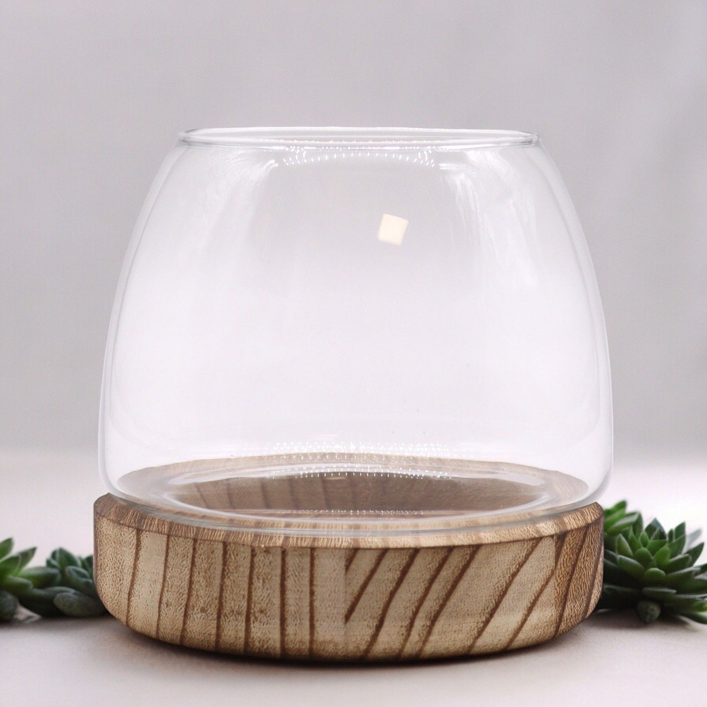 Clear glass bowl terrarium sitting on a rustic, natural shaped tung wood base.