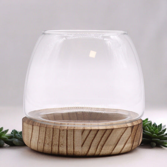 Clear glass bowl terrarium sitting on a rustic, natural shaped tung wood base.