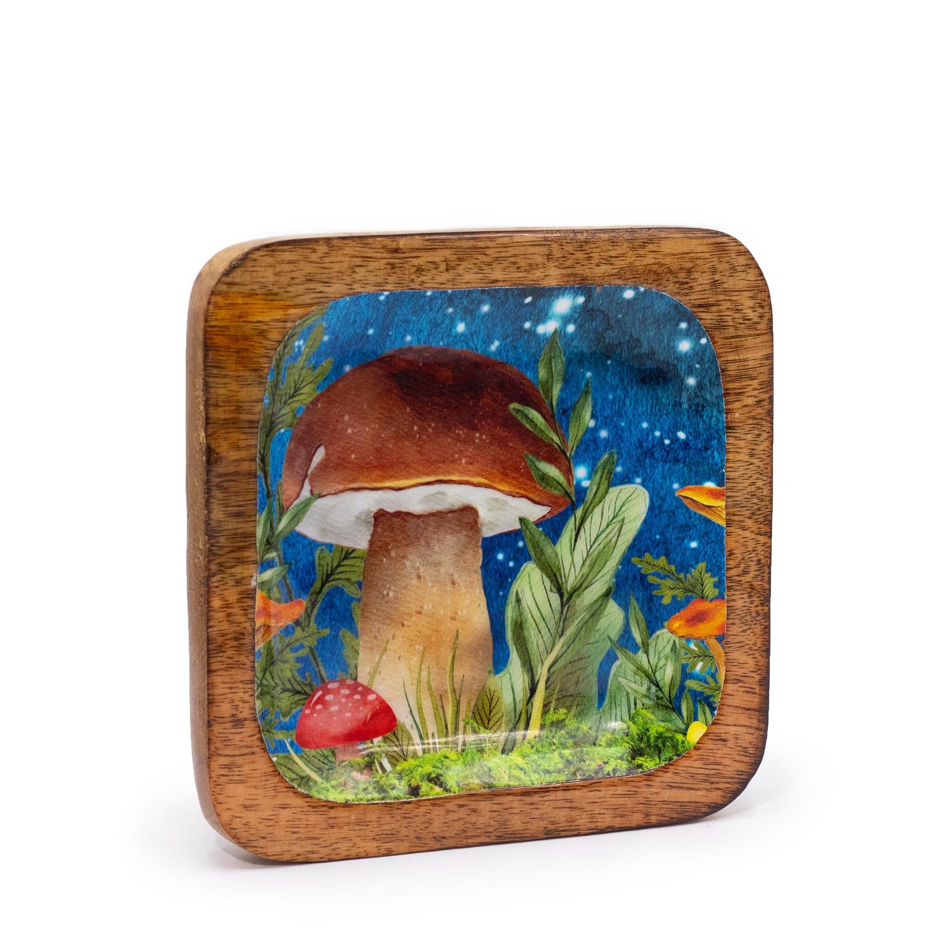 Square teal enamelled trinket tray featuring a white mushroom design with 15x15cm dimensions.