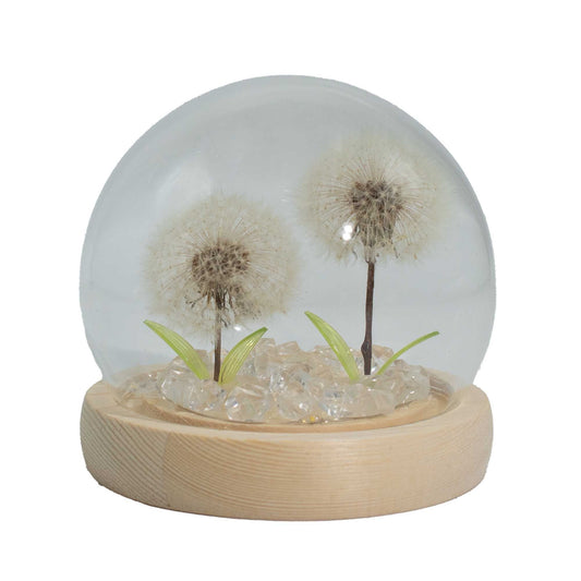 Two delicate dandelions enclosed in a glass dome with soft LED illumination and a natural wooden base.