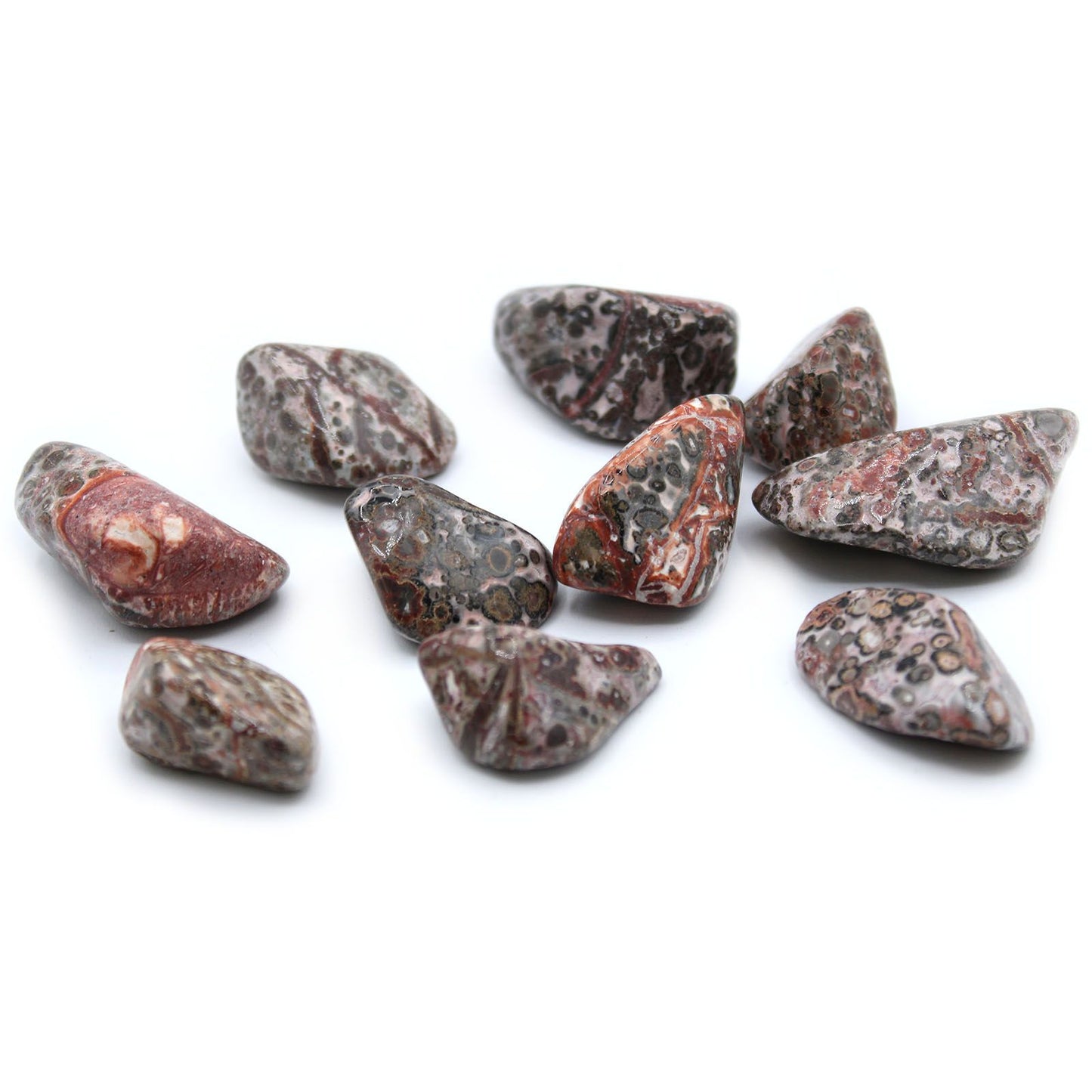 Large polished Leopard Skin Jasper tumble stone showing unique spotted patterns in earthy tones.