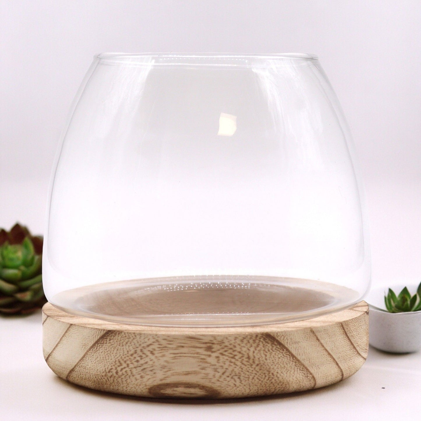 Hand-blown glass terrarium bowl nestled perfectly onto a natural, rustic Tung wood base with unique wood grain textures.