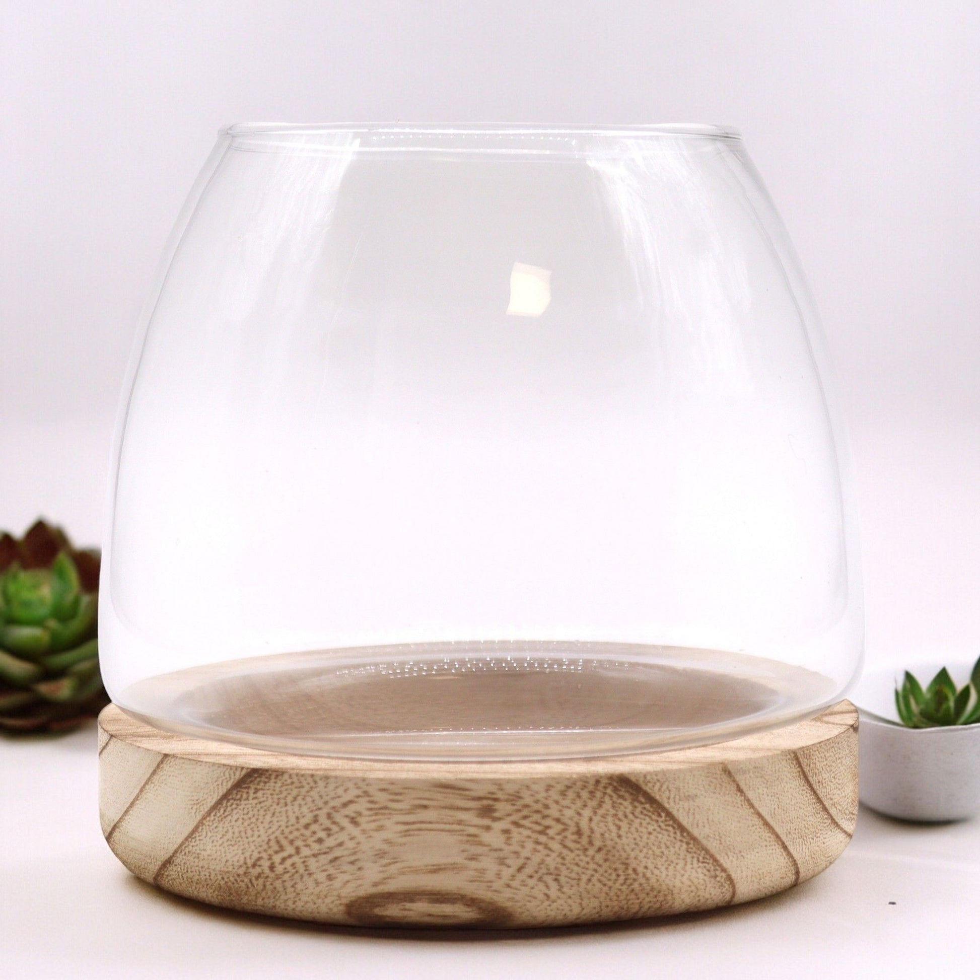Hand-blown glass terrarium bowl nestled perfectly onto a natural, rustic Tung wood base with unique wood grain textures.