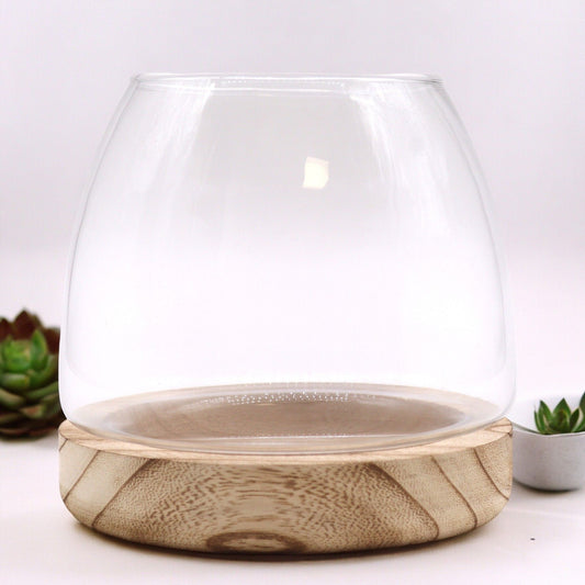 Hand-blown glass terrarium bowl nestled perfectly onto a natural, rustic Tung wood base with unique wood grain textures.