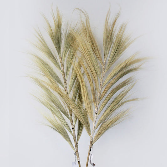Tall 2m blond dried rayung grass with fluffy plumes braided onto a vertical bamboo stick for interior decoration.