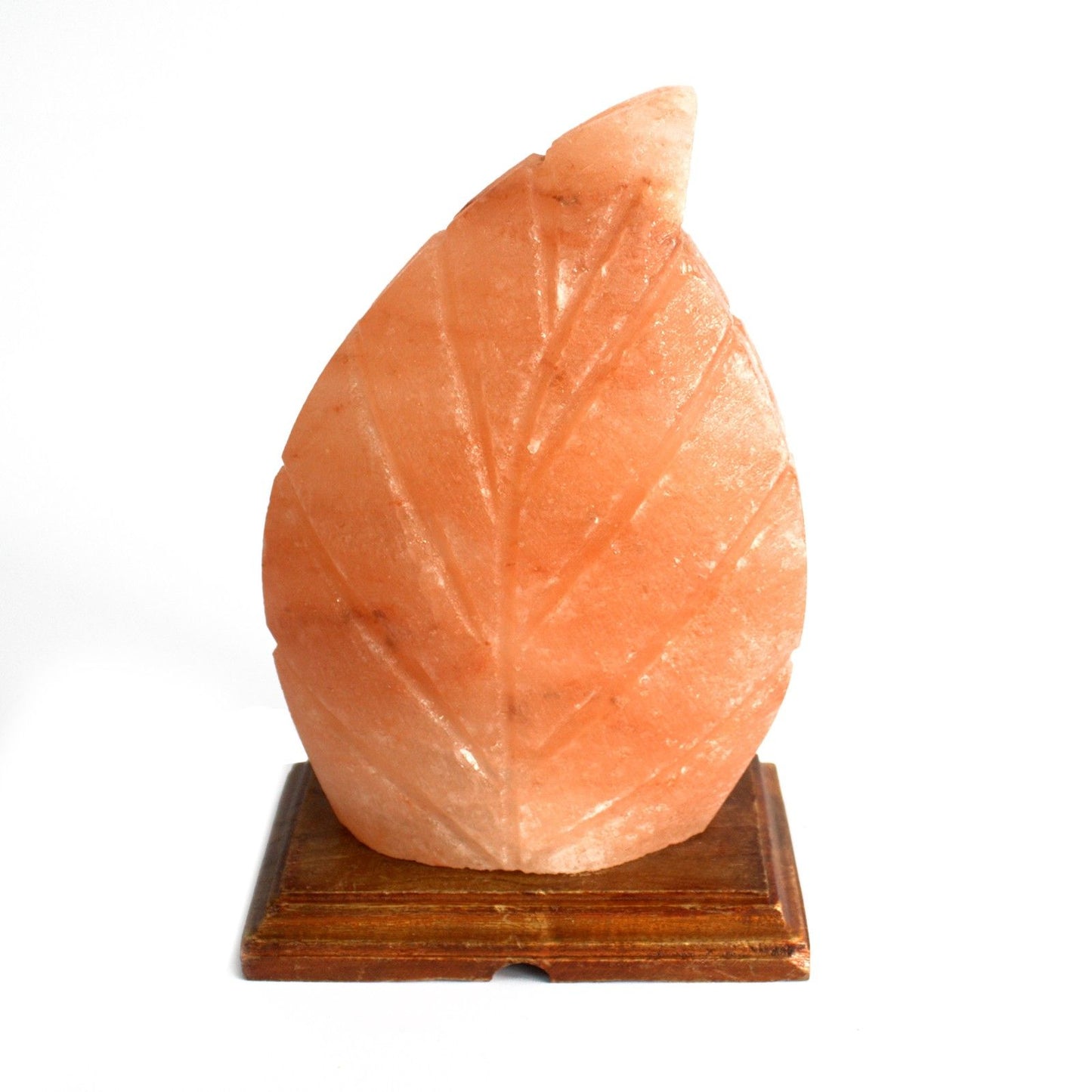 Hand-carved pink Himalayan salt lamp featuring an intricate etched fern leaf design on a wooden base.