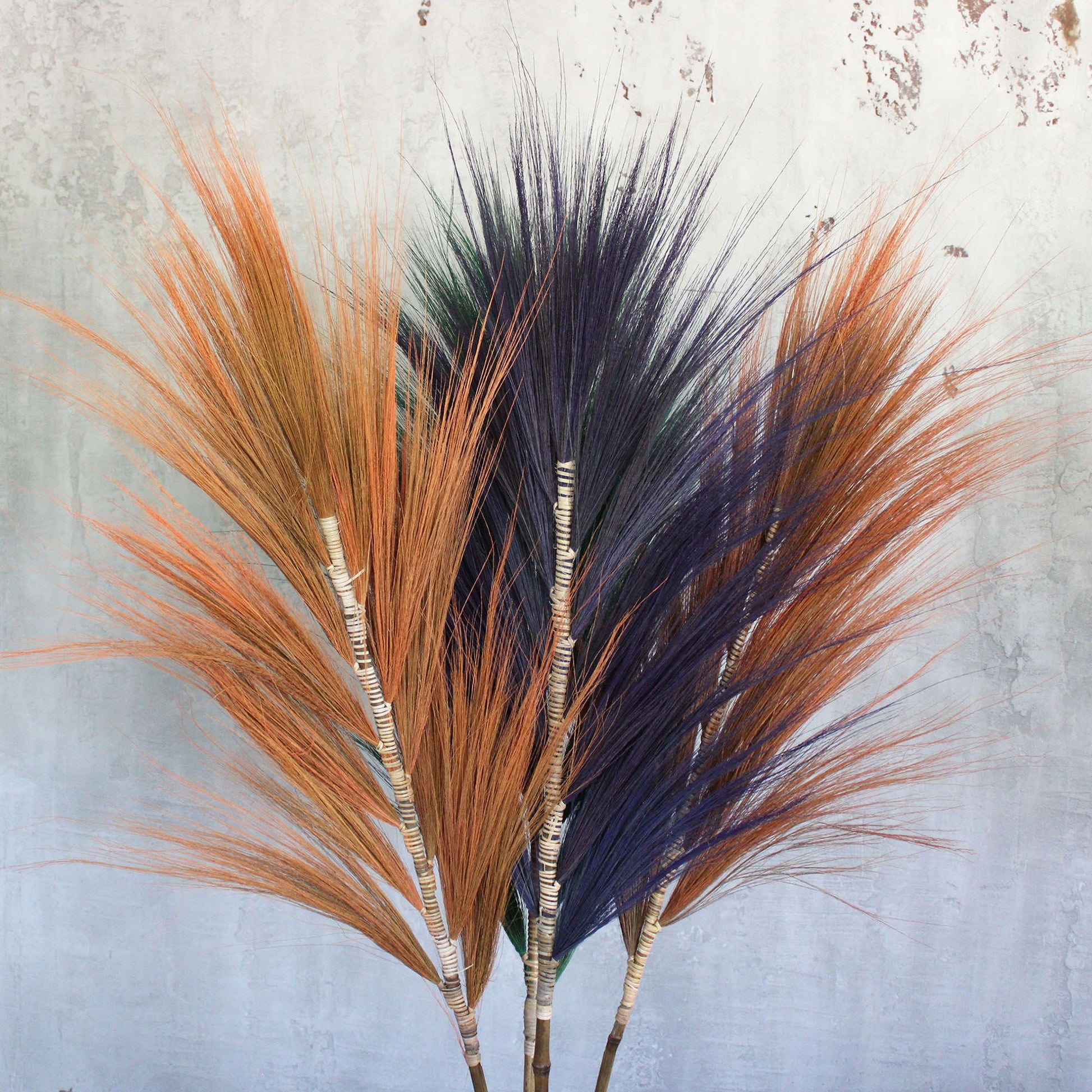 Rayung Grass Lavender- 1.6m